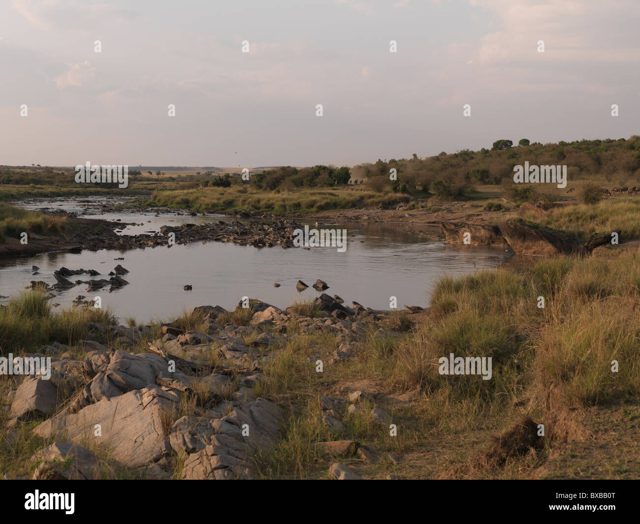 Pond in Kenya Africa Stock Photo Alamy