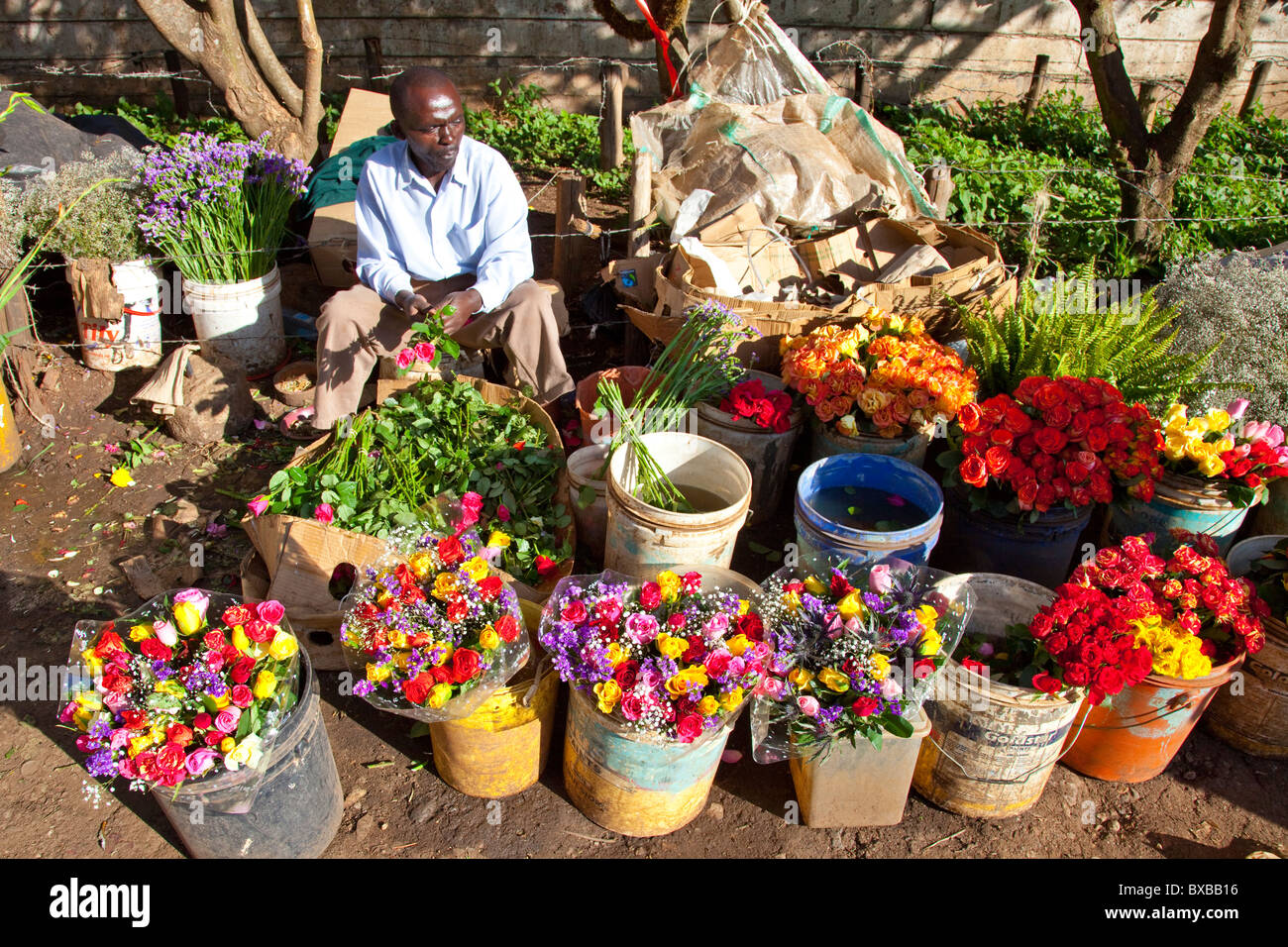 Flower vendor, Nairobi, Kenya Stock Photo Alamy