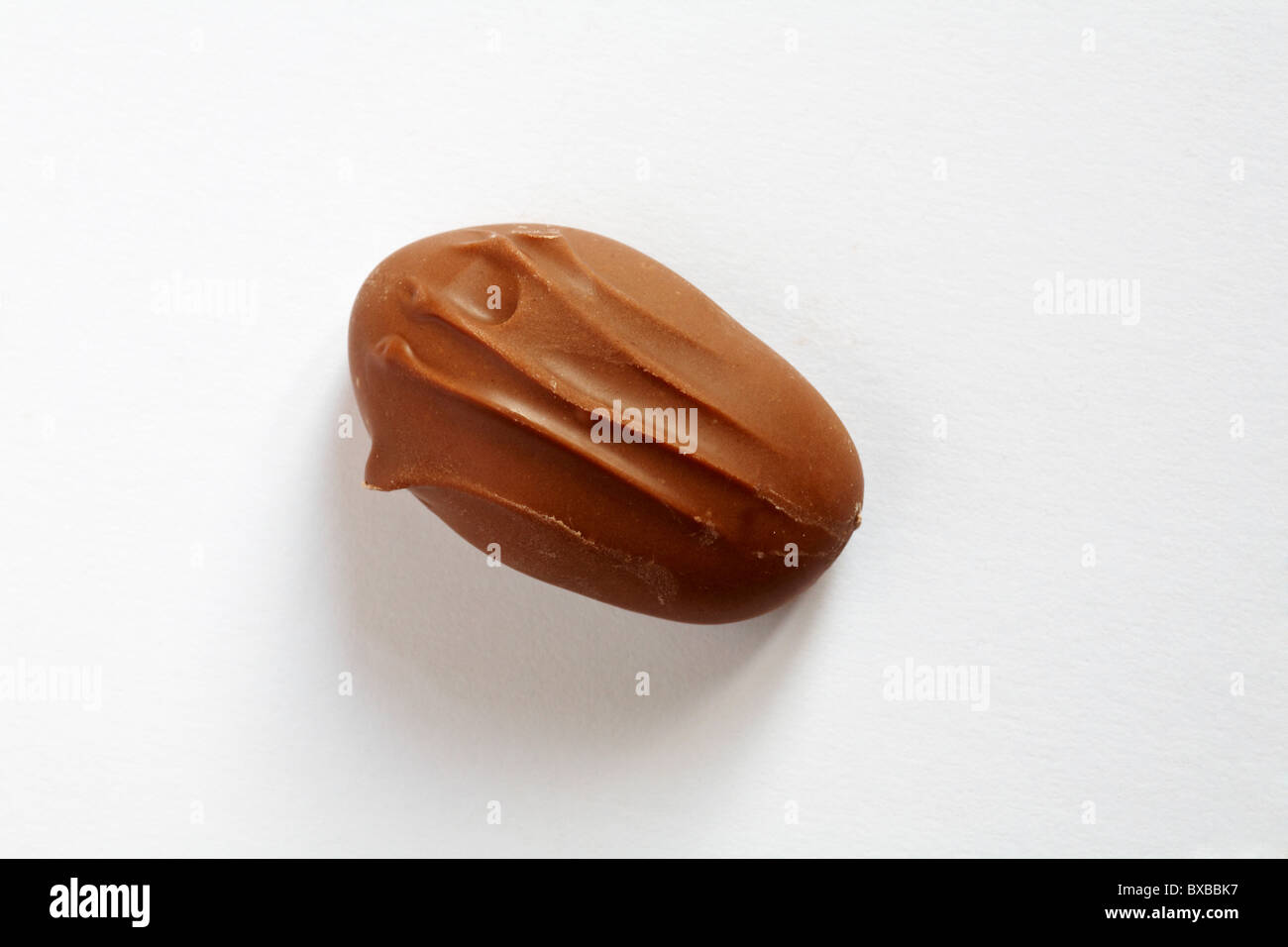 Single milk chocolate coated brazil nut isolated on white background Stock Photo Alamy