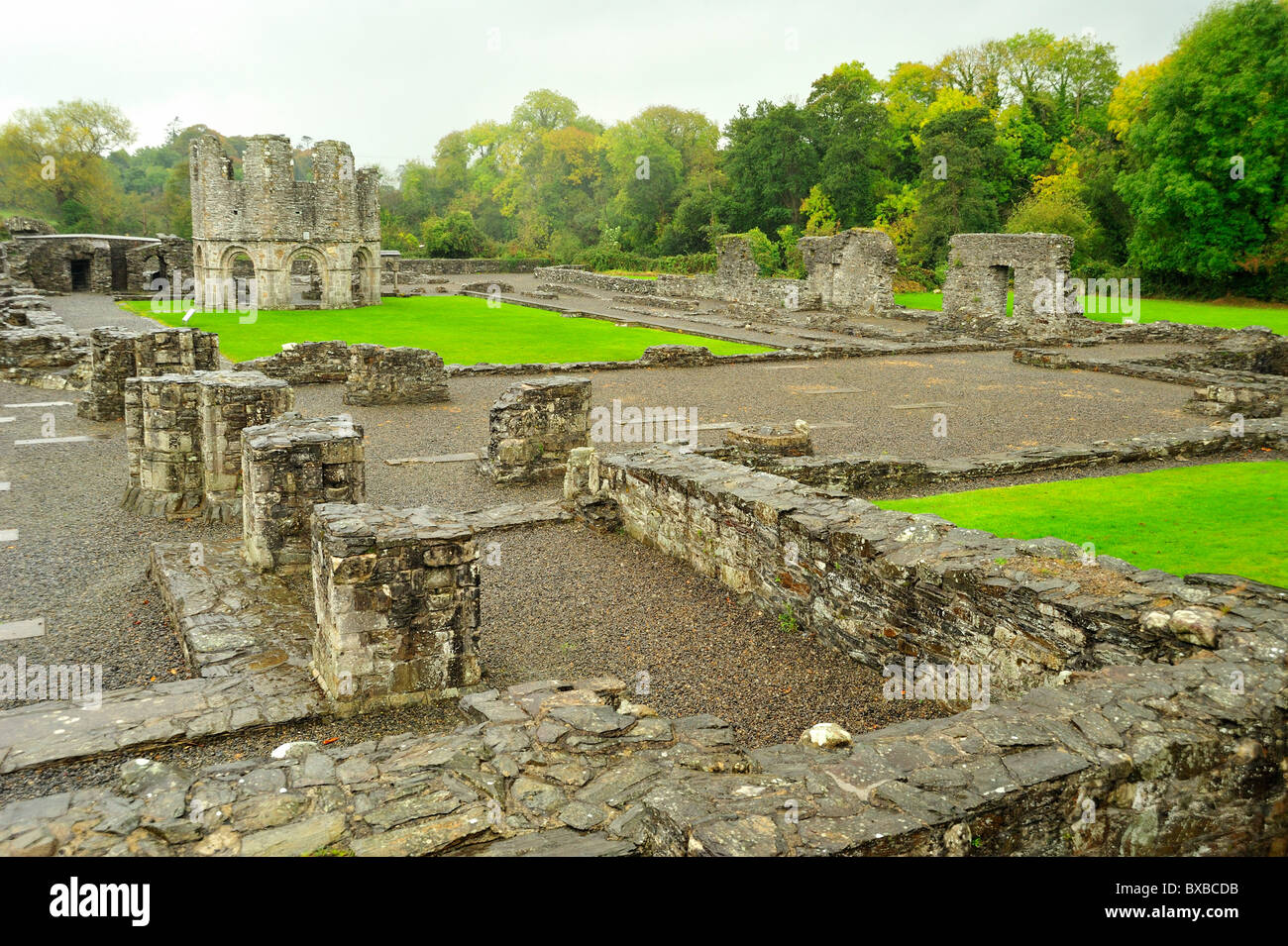 Mellifont Abbey, County Louth, Leinster, Republic of Ireland Stock
