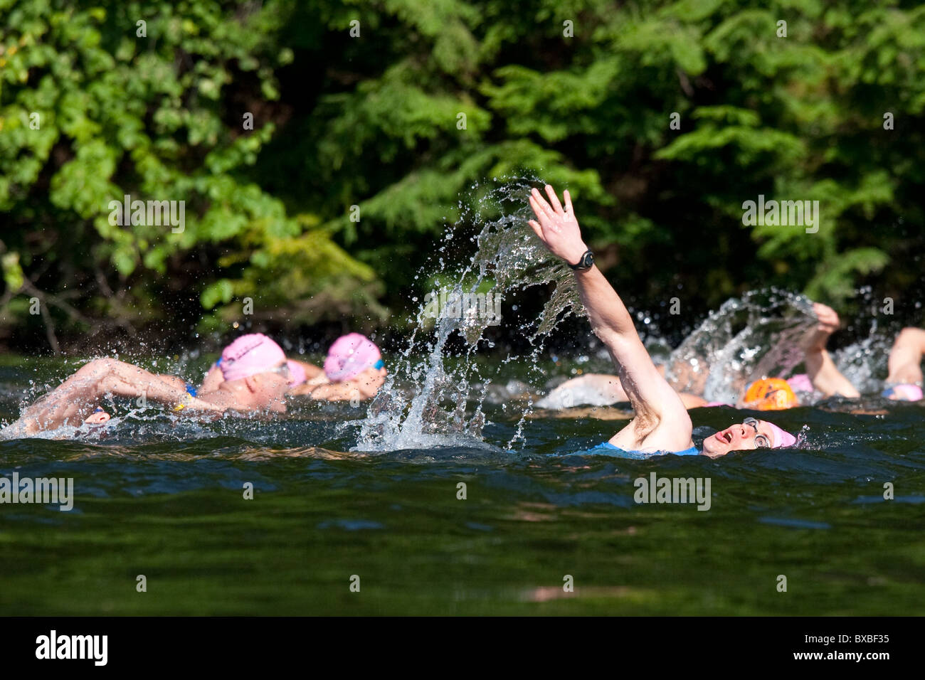 Swimmers swimming in lake race hi-res stock photography and images - Alamy