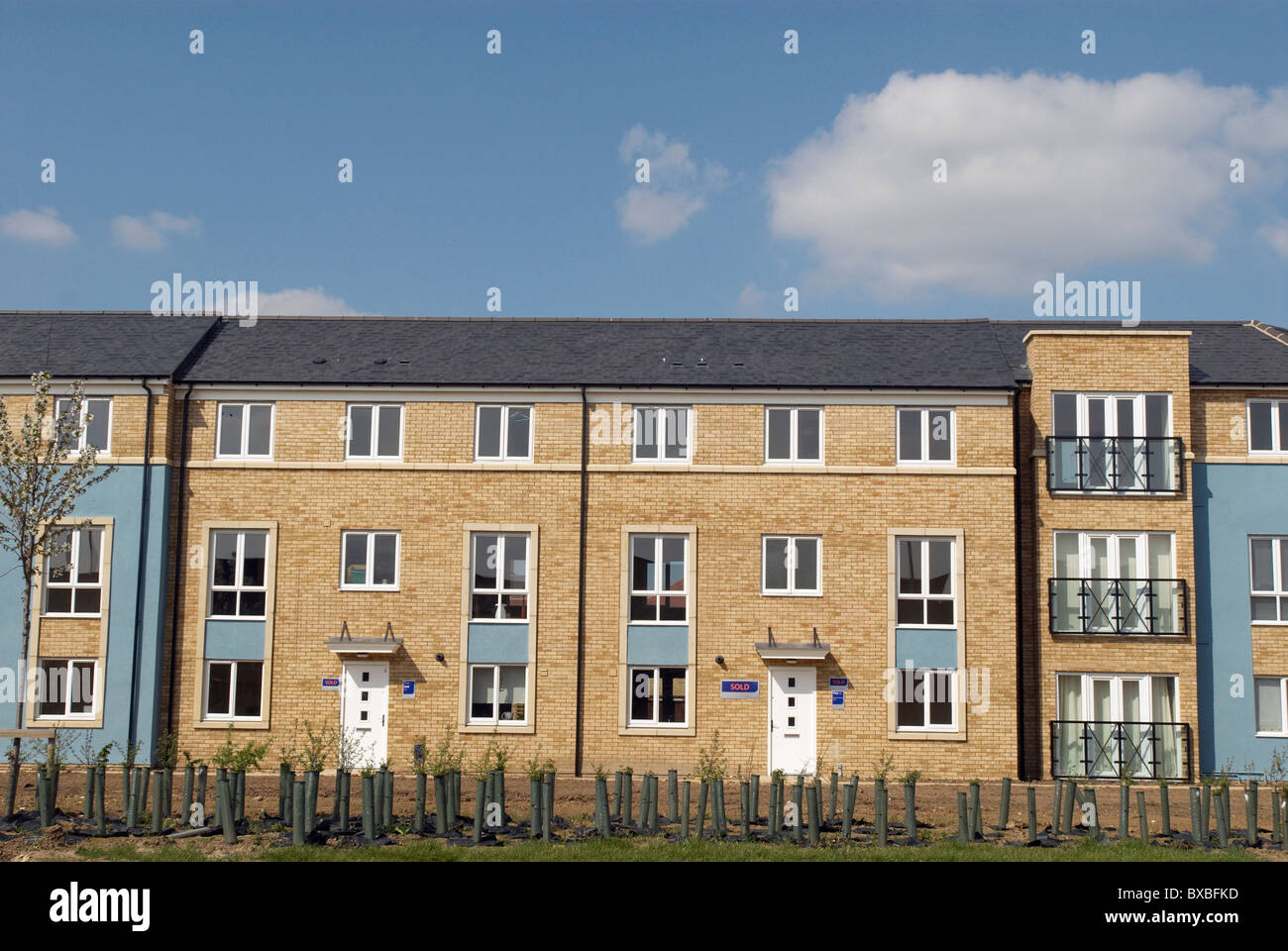 Housing development Cambridge UK Stock Photo Alamy