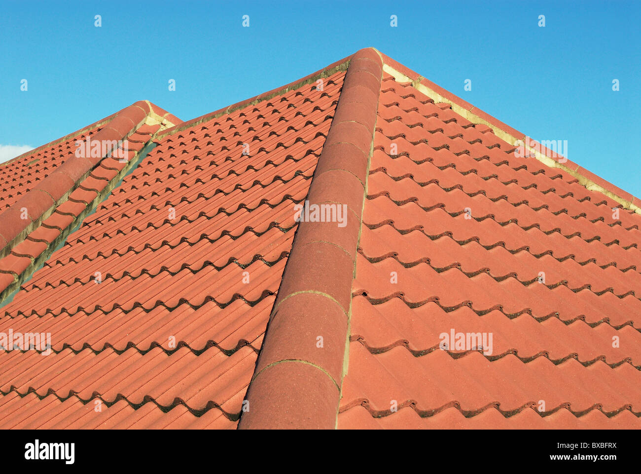 Terracotta roof tiles Stock Photo Alamy
