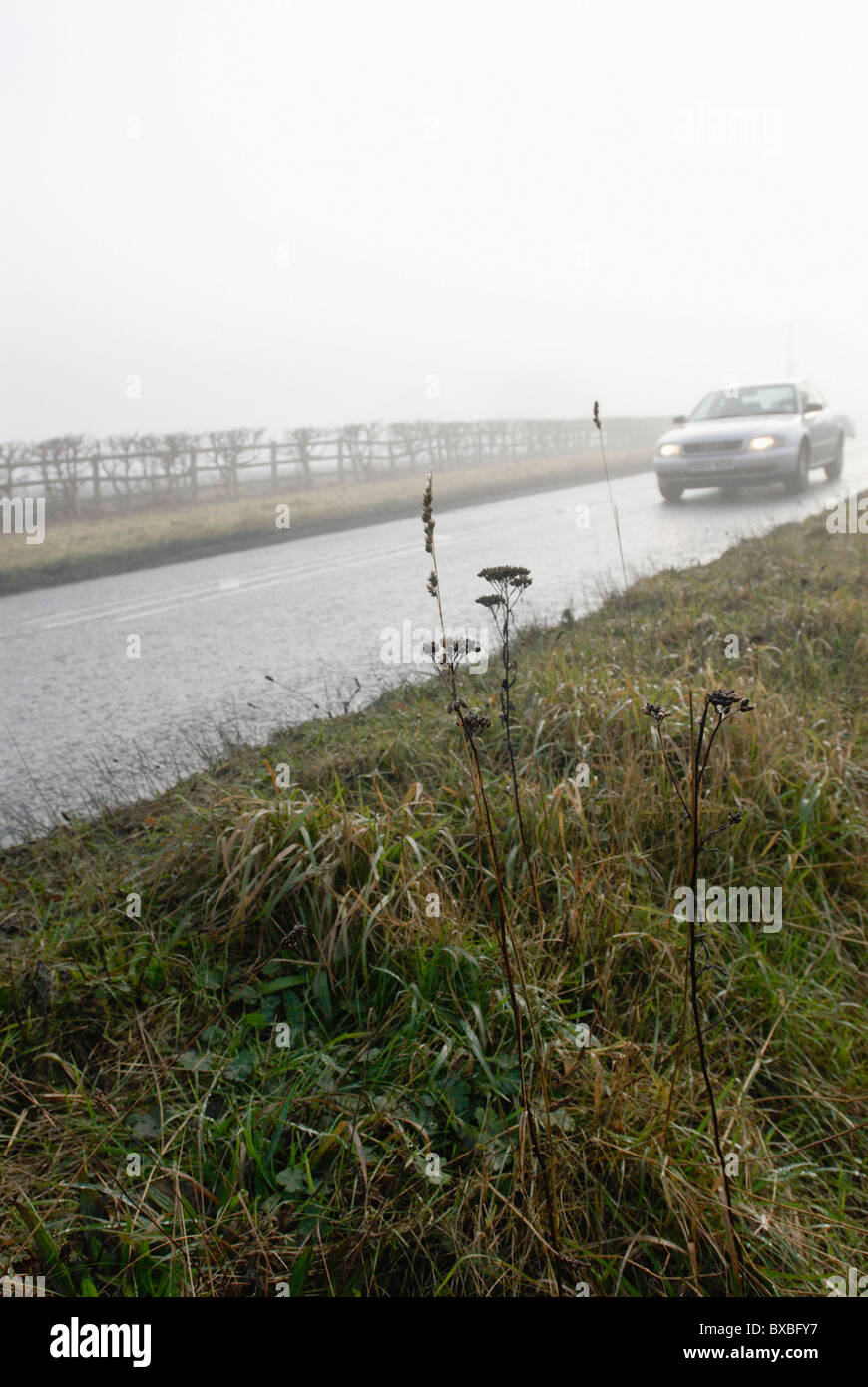 Car driving in fog UK Stock Photo Alamy
