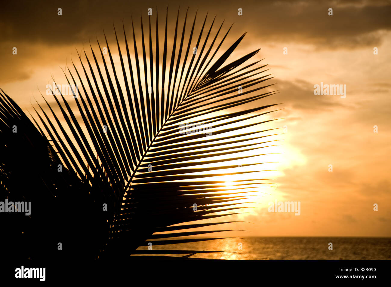 Maldives - Sunset Robles Set