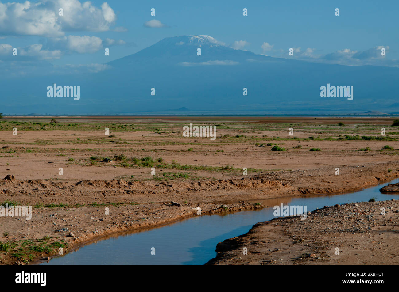 Kenya, Amboseli, Kilimanjaro, aridity waterway Stock Photo