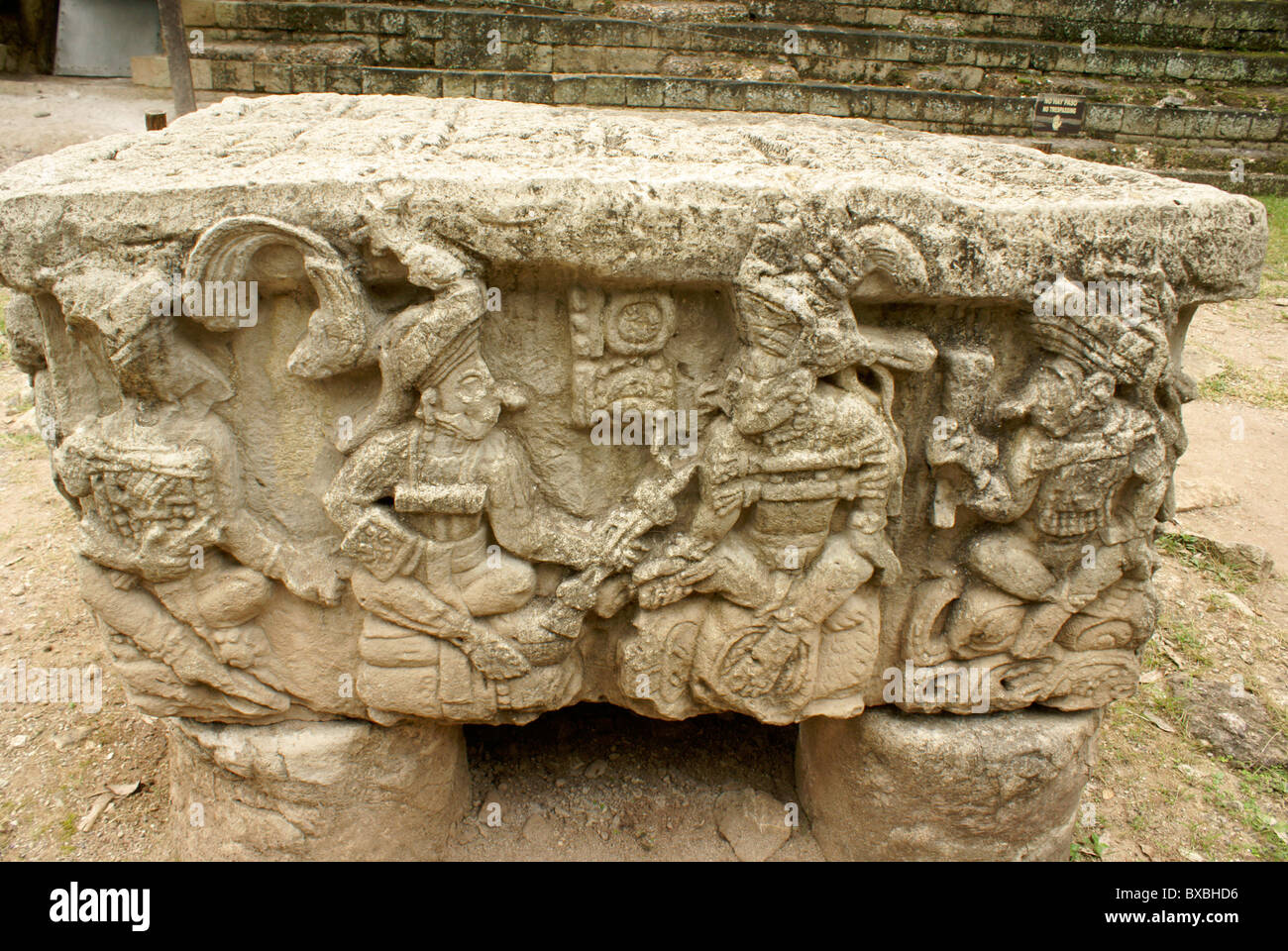Altar Q showing the 16 rulers of the Mayan city of Copan, Copan ruins, Honduras Stock Photo