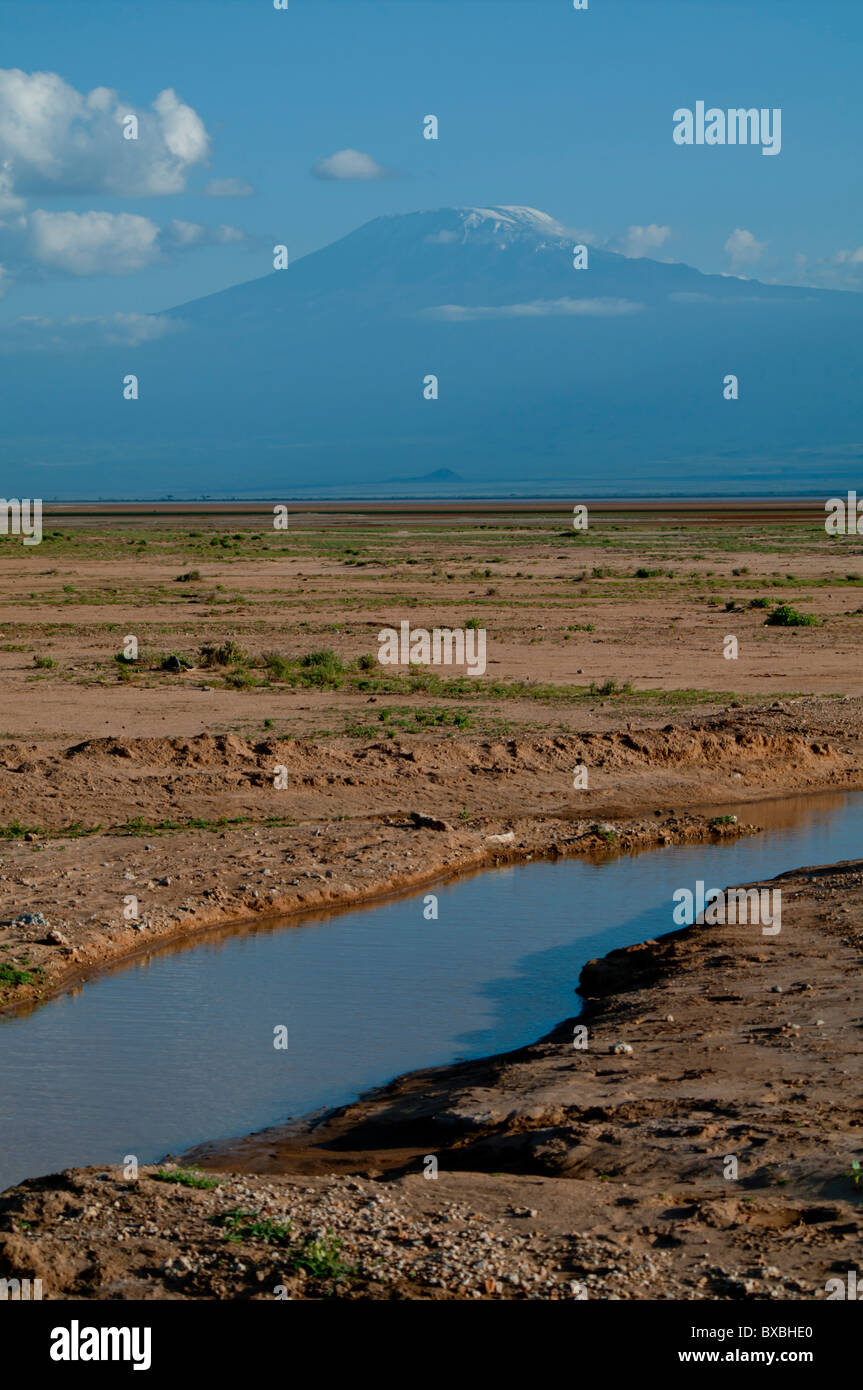 Kenya, Amboseli, Kilimanjaro, aridity waterway Stock Photo
