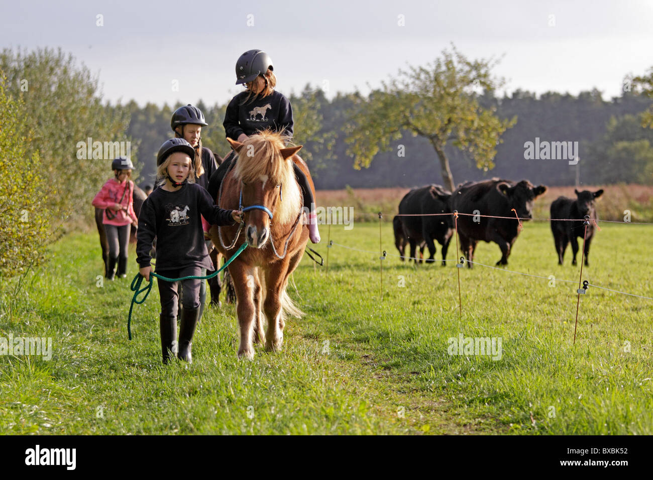 children riding ponies Stock Photo