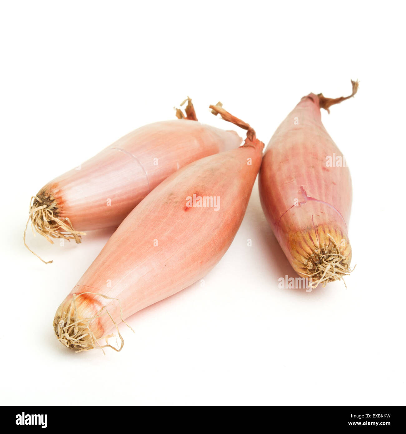 banana shallot from low perspective isolated on white. Stock Photo