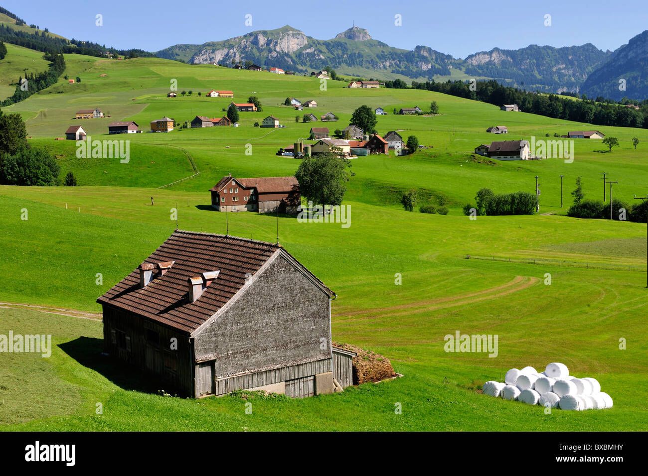 Landscape in the canton of Appenzell in front of the Alpstein Mountains, Canton of Appenzell, Switzerland, Europe Stock Photo
