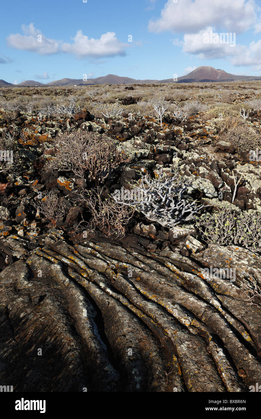 Malpais de la Corona, field of ropy lava from the Corona volcano, Lanzarote, Canary Islands, Spain, Europe Stock Photo