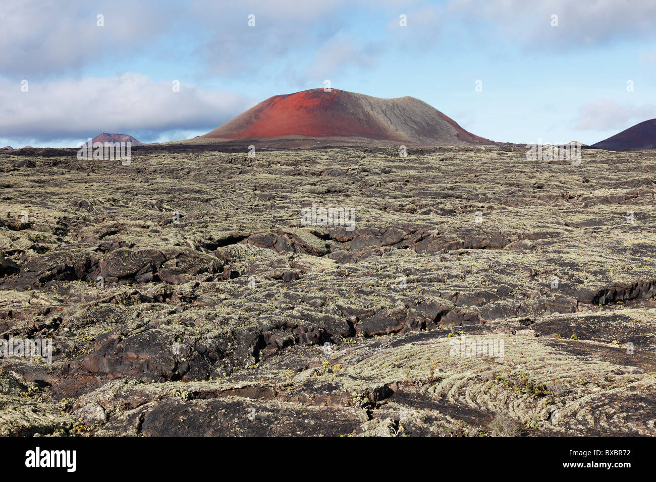 Caldera Colorada volcano, lava field with lichens, Lanzarote, Canary Islands, Spain, Europe Stock Photo