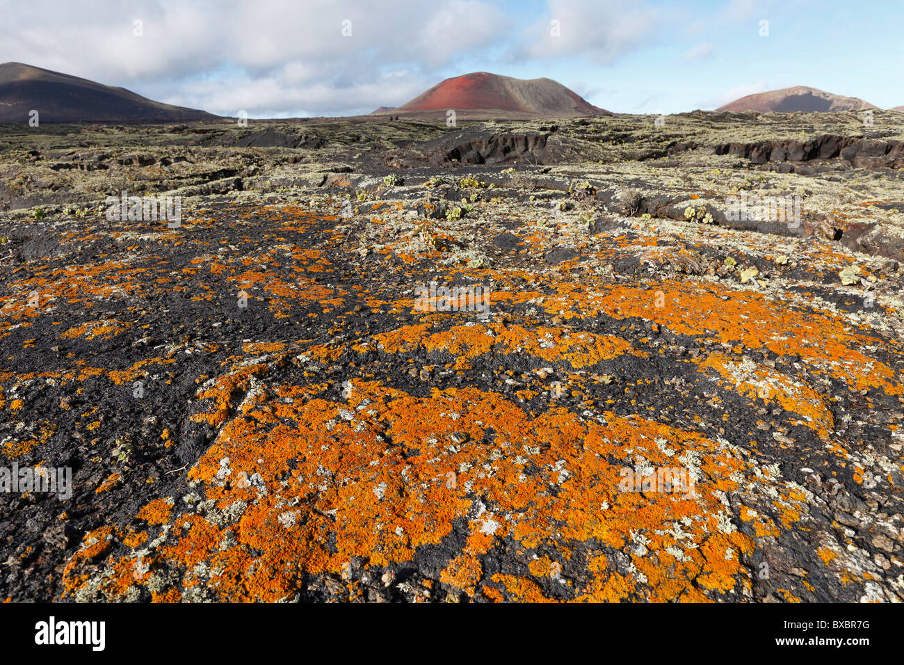 Lava field with lichens, Caldera Colorada volcano, Lanzarote, Canary Islands, Spain, Europe Stock Photo