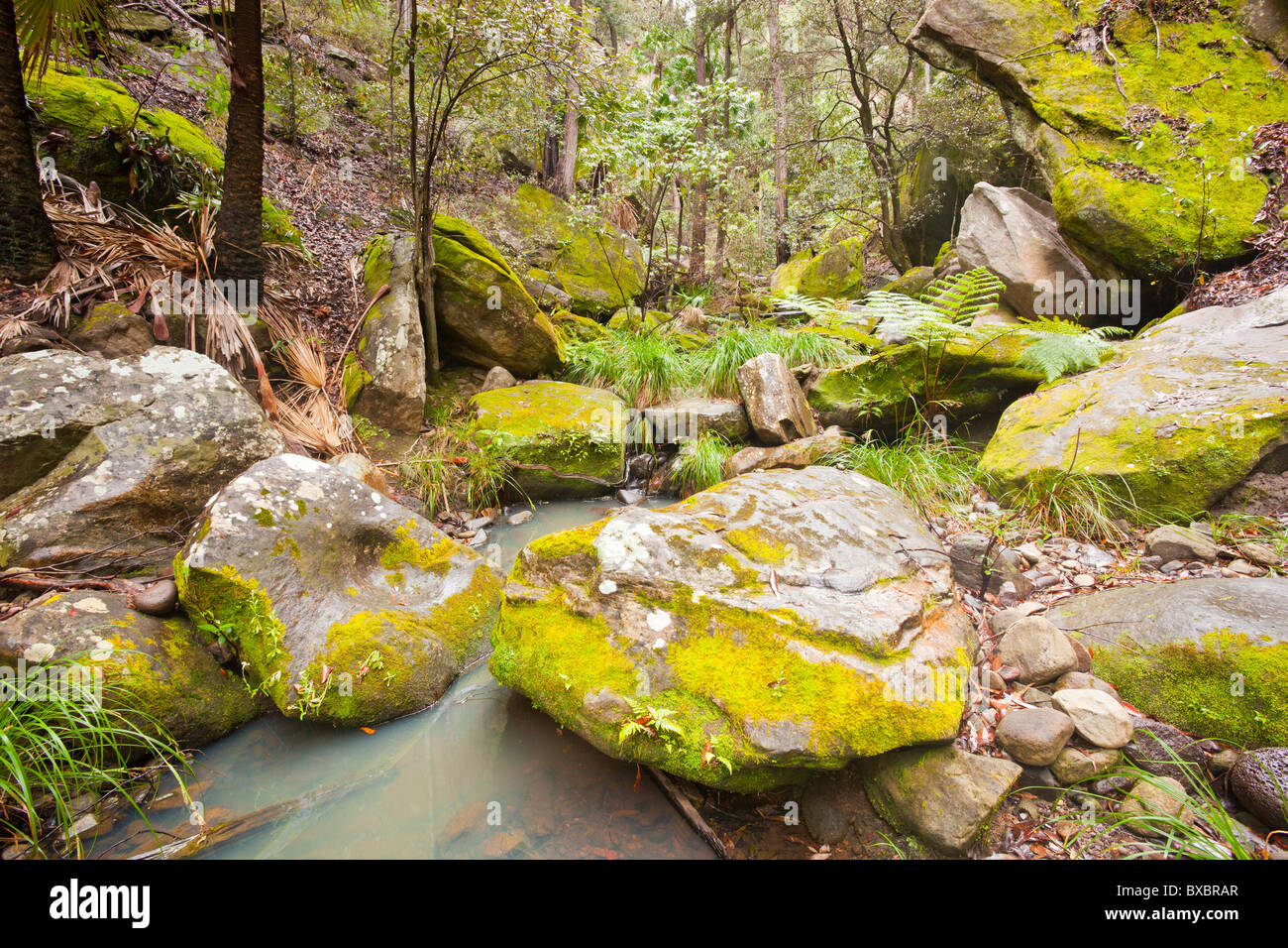 Warrumbah Mickey's Creek, Carnarvon Carnarvon National