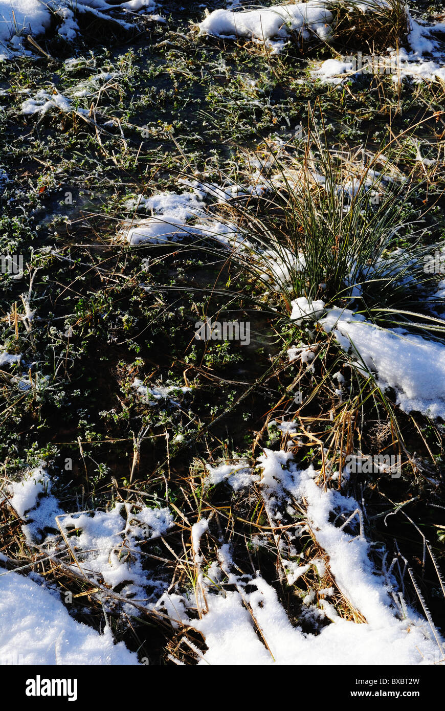 Close up sheet ice frozen hi-res stock photography and images - Alamy