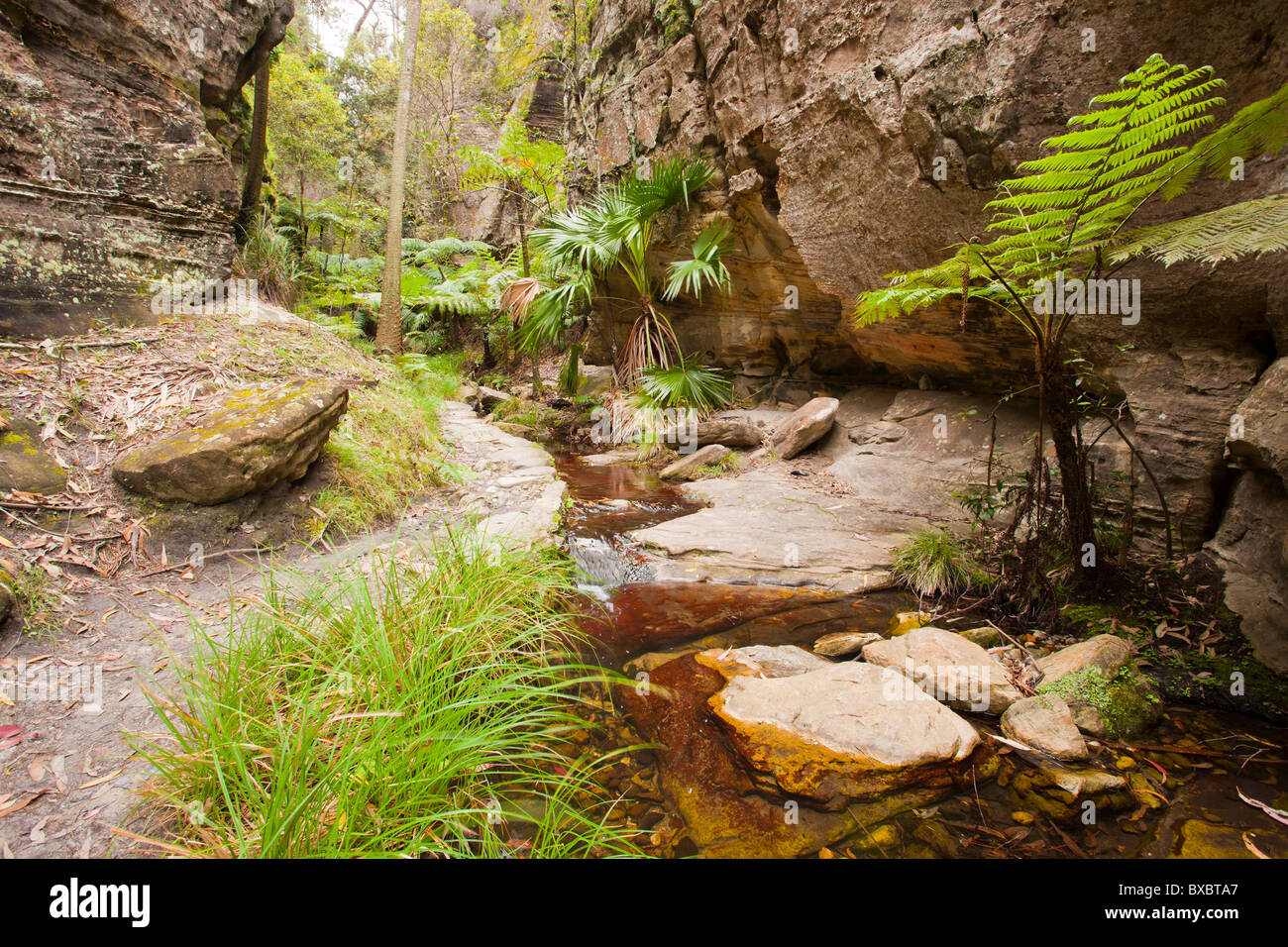Ward's Canyon, Carnarvon Carnarvon National Park, Injune