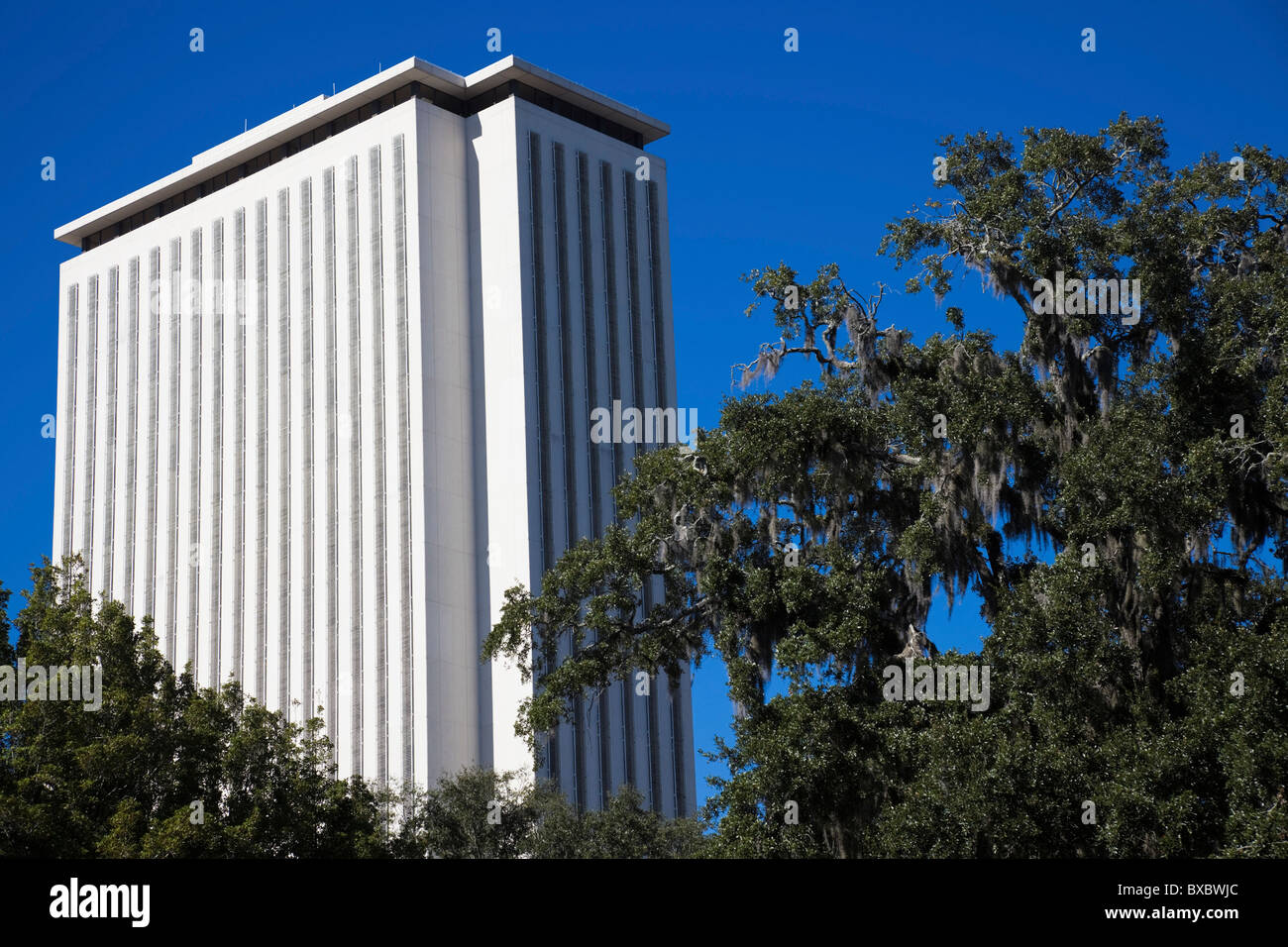 Tallahassee, Florida - fall by State Capitol Stock Photo