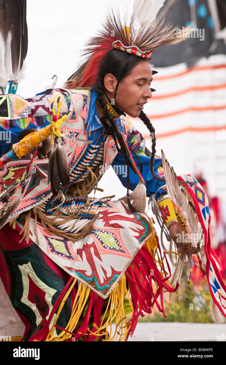 Young main in grass dance regalia, Pow-wow, Blackfoot Crossing Stock ...