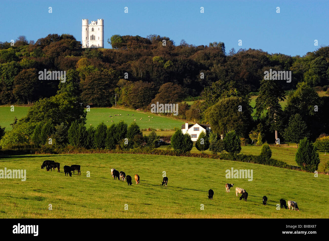 Photo shows Haldon Belvedere, a folly near Exeter, Devon, UK Stock