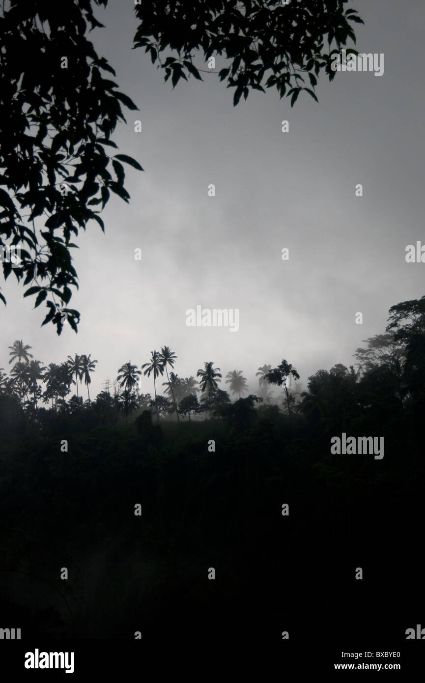 Fog over plants hi-res stock photography and images - Alamy