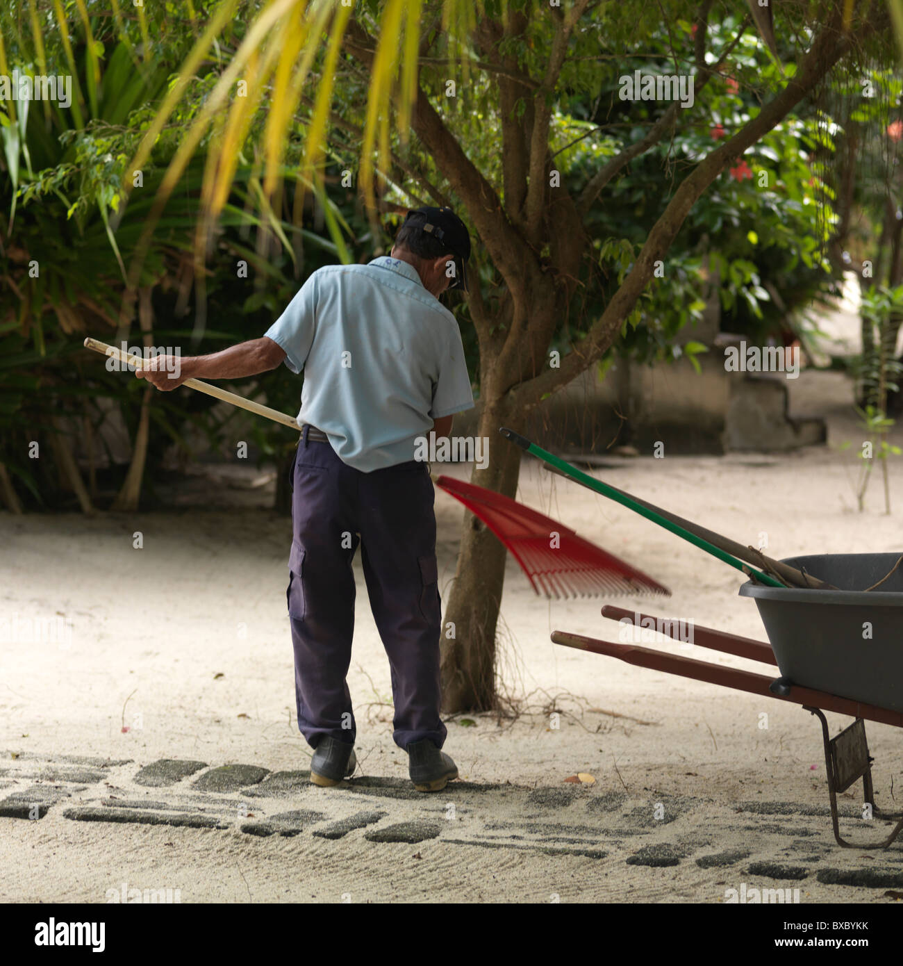 Worker holding a rake in Belize, Central America Stock Photo - Alamy