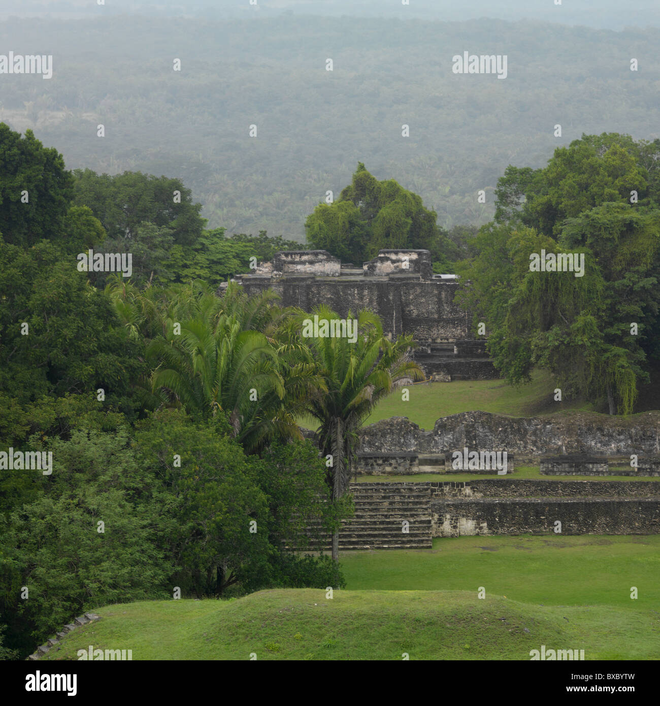 Ancient jungle temple hi-res stock photography and images - Alamy