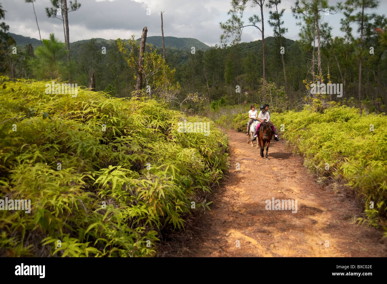 Belize Maya Forest Reserve Hi Res Stock Photography And Images Alamy