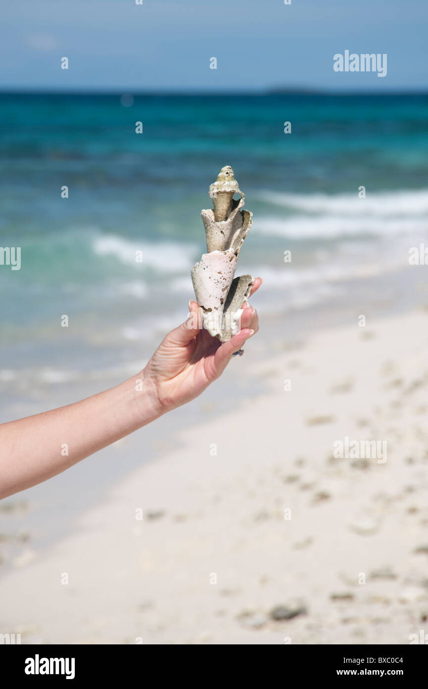 Hand central hi-res stock photography and images - Alamy