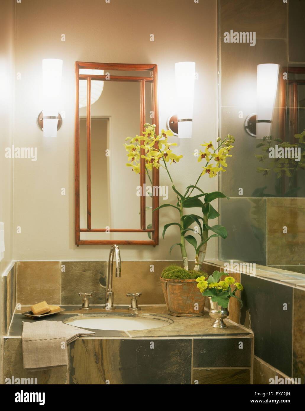 Rectangular mirror above basin in vanity unit with pot of