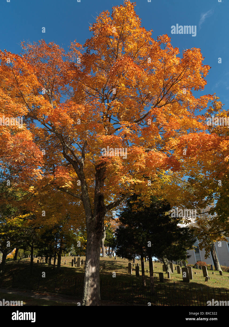 The Hamptons, Sag Harbor, New York Stock Photo Alamy