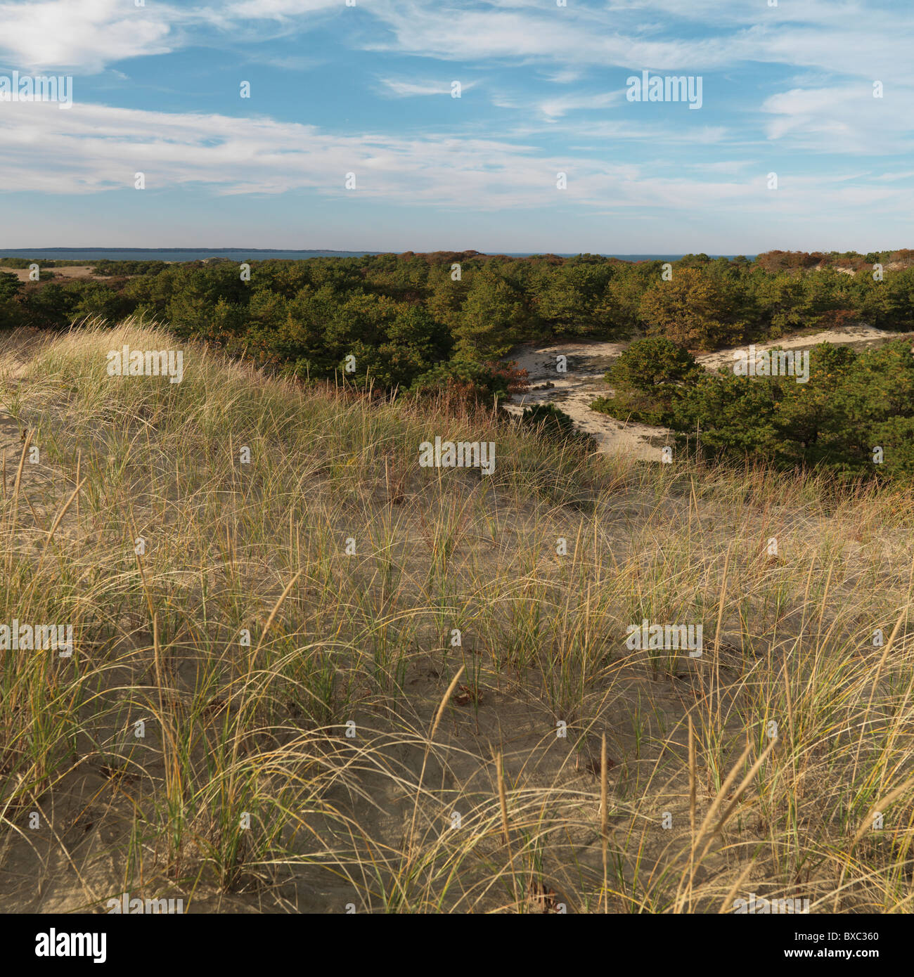 The Walking Dunes, Montauk,, The Hamptons, Sag Harbor, New York Stock