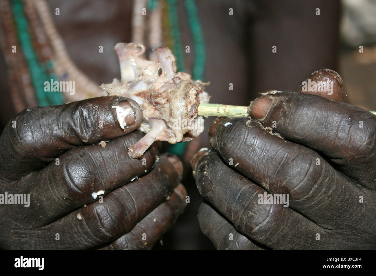 Hands Of An Elderly Karo Tribe Woman Eating Bone Marrow, Omo Valley, Ethiopia Stock Photo