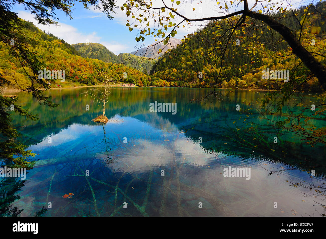 Forest and Lake in Jiuzhaigou, Sichuan province of China Stock Photo