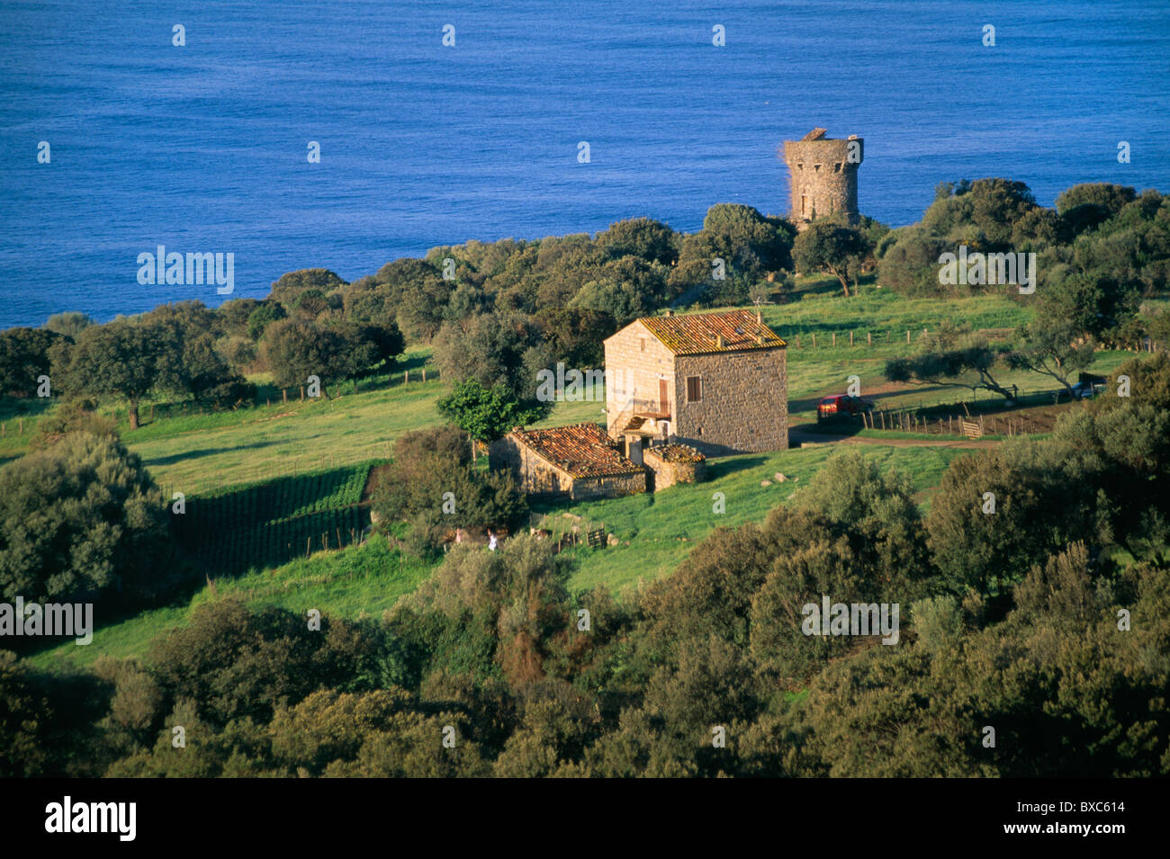 France, Corsica, Corse du Sud, Calanca Tower and Gulf of Valinco Stock Photo