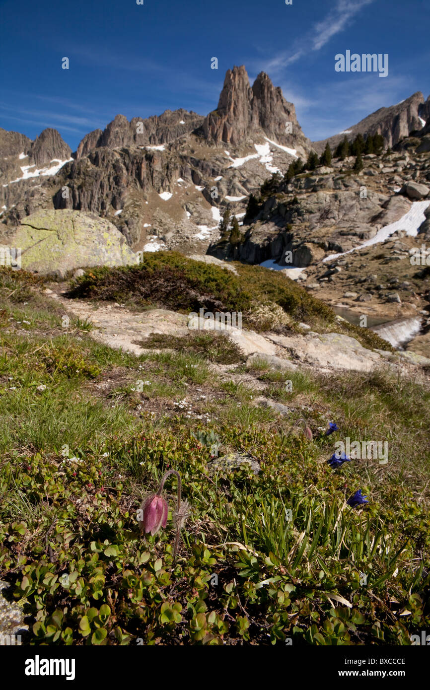 Agulles de Basiero o d' Amitges, National Park of Aiguestortes i Estany de Sant Maurici, LLeida, Spain Stock Photo