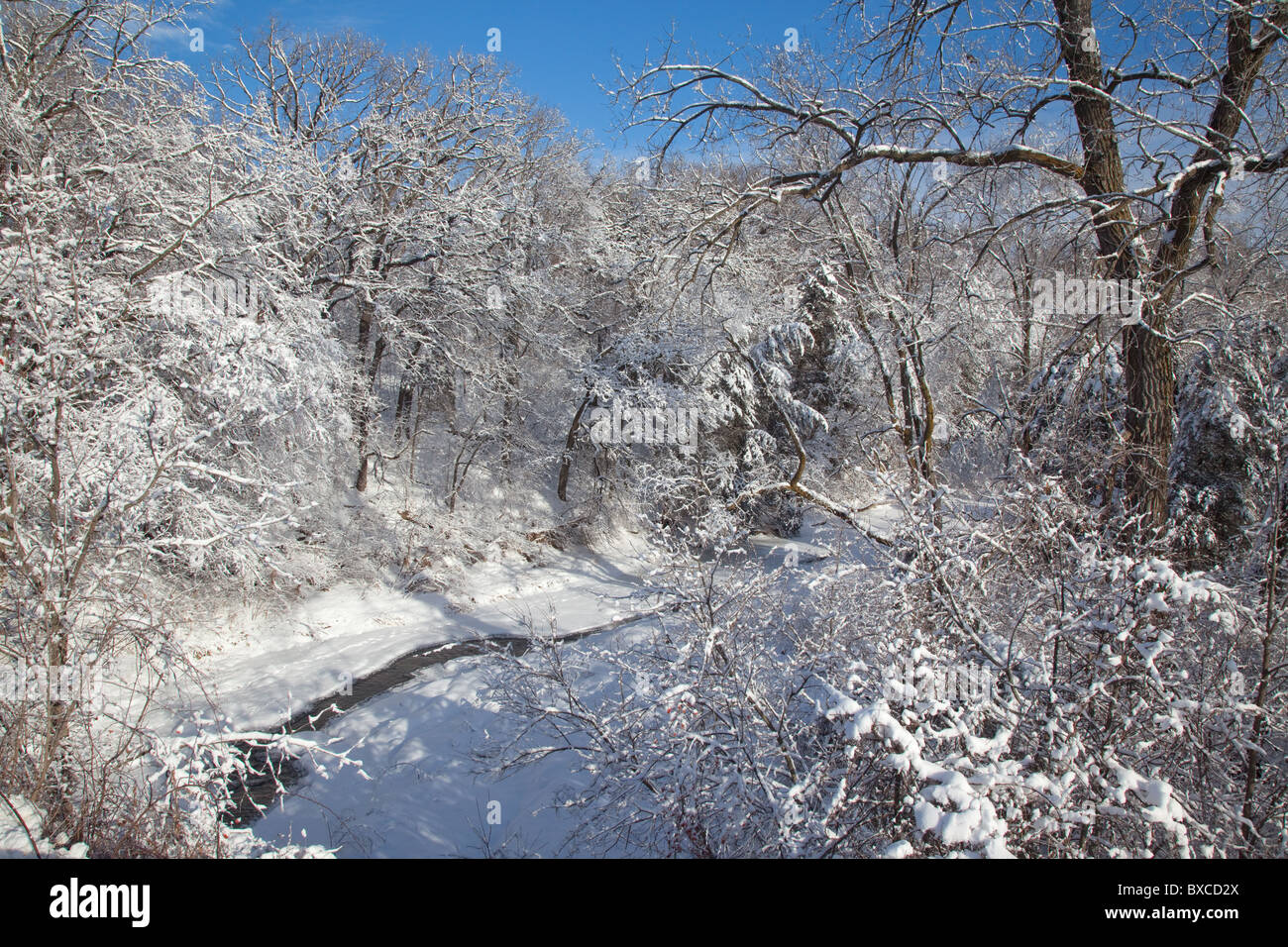stream and snow covered trees along the River Bluffs Scenic Byway, Clayton County, Iowa Stock Photo