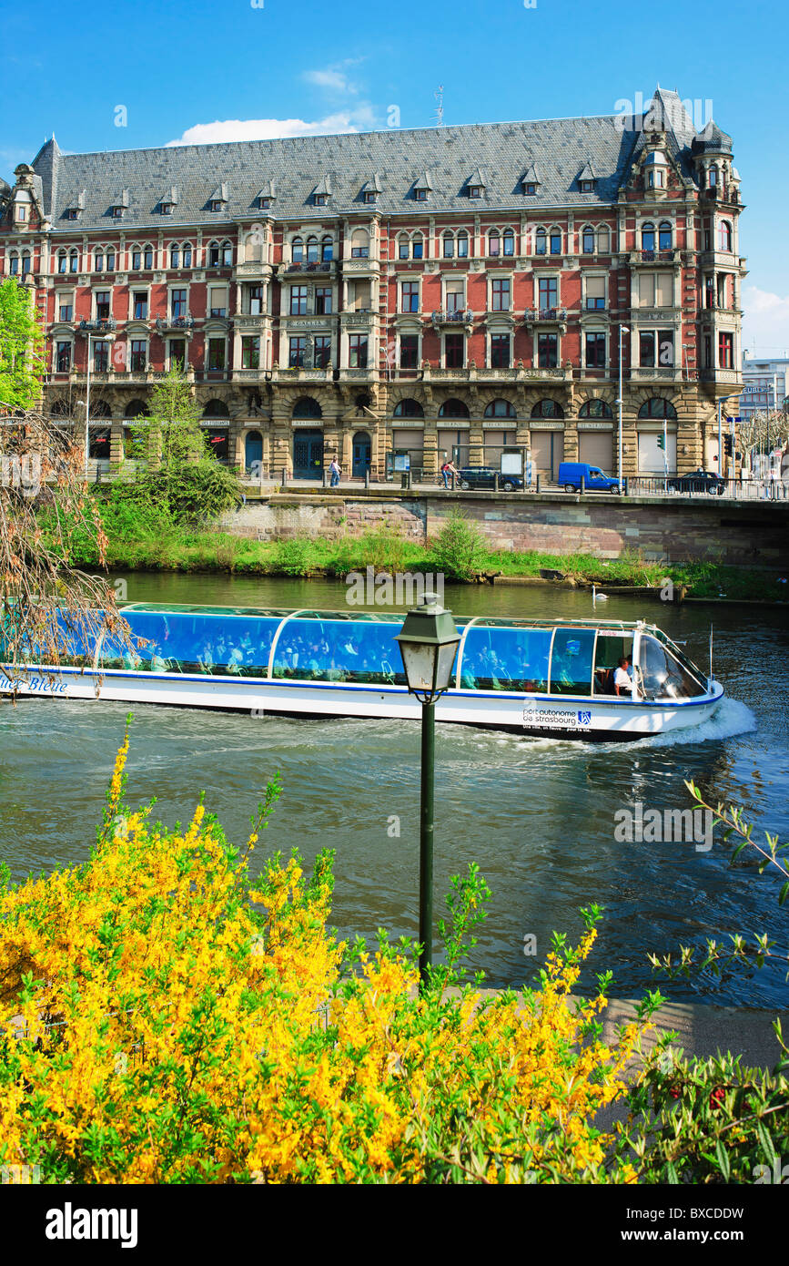 Batorama tour boat on Ill river, Gallia student residence, blooming Forsythia, Neustadt district, Strasbourg, Alsace, France, Europe, Stock Photo