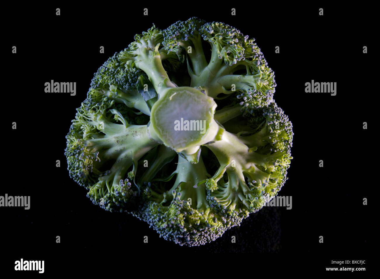 Close up of Broccoli Stock Photo