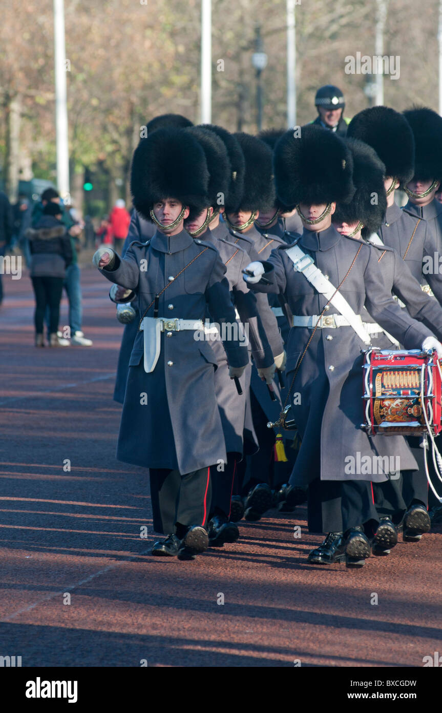 Queens Guards Band on parade in long grey tunic coats and Busby hats in London, England, UK Stock Photo