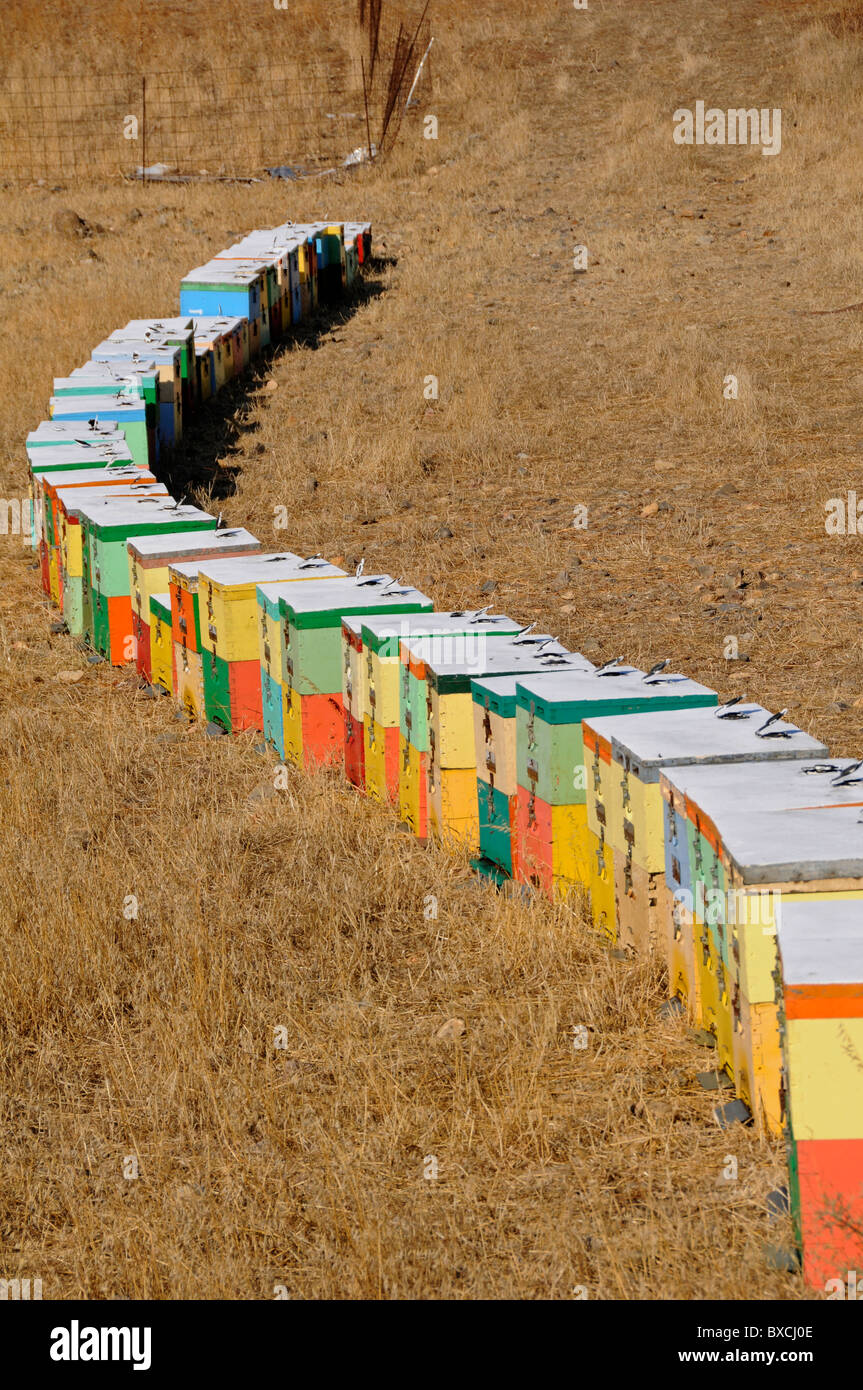 Colourful Bee Hives High Resolution Stock Photography and Images - Alamy