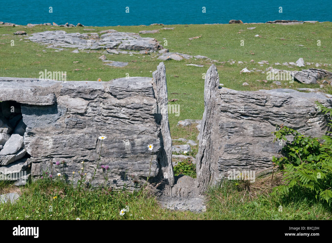 Squeeze stile in drystone wall. Black Head, The Burren, County Clare, Ireland Stock Photo