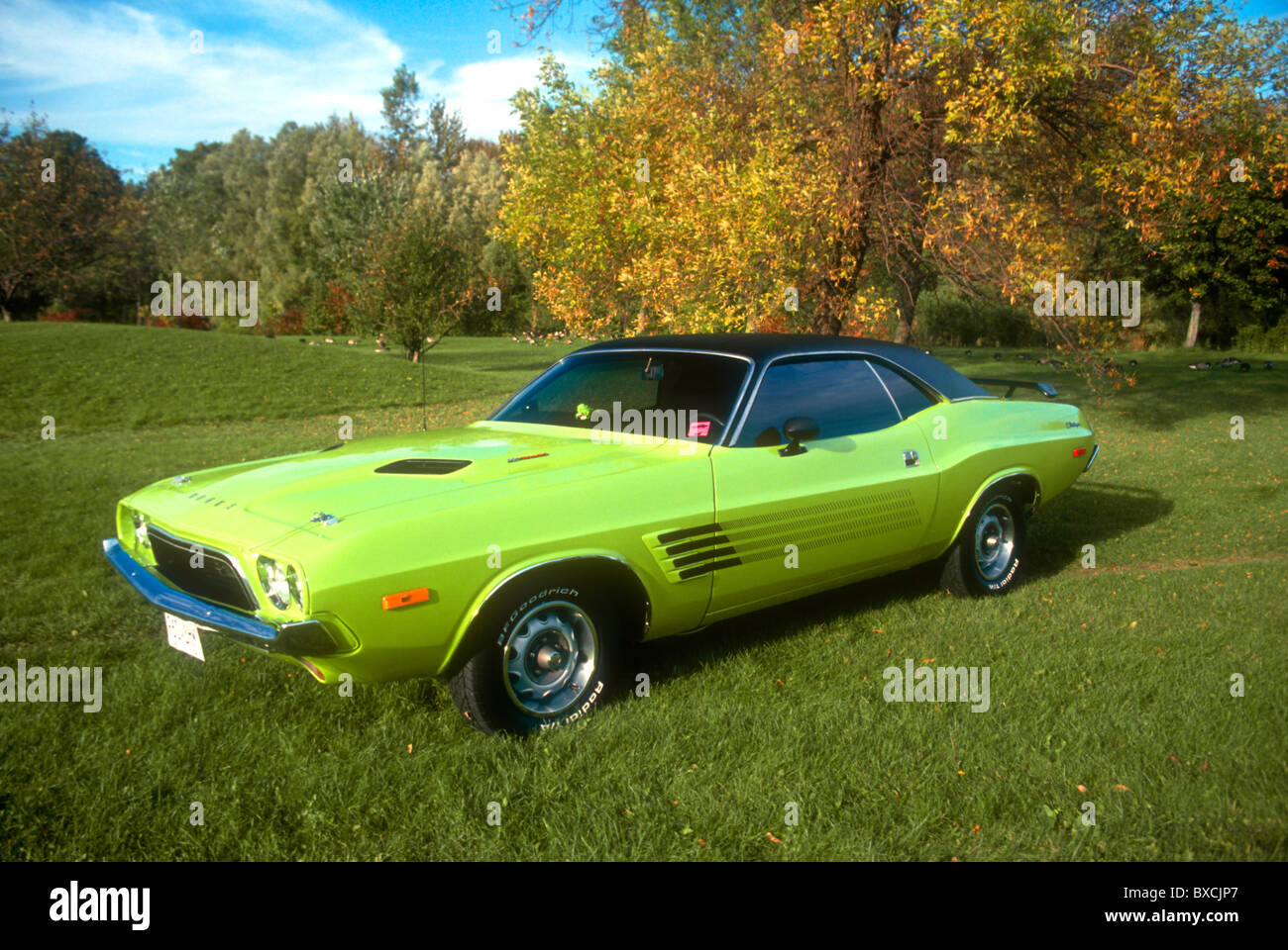 1974 Dodge Challenger Stock Photo