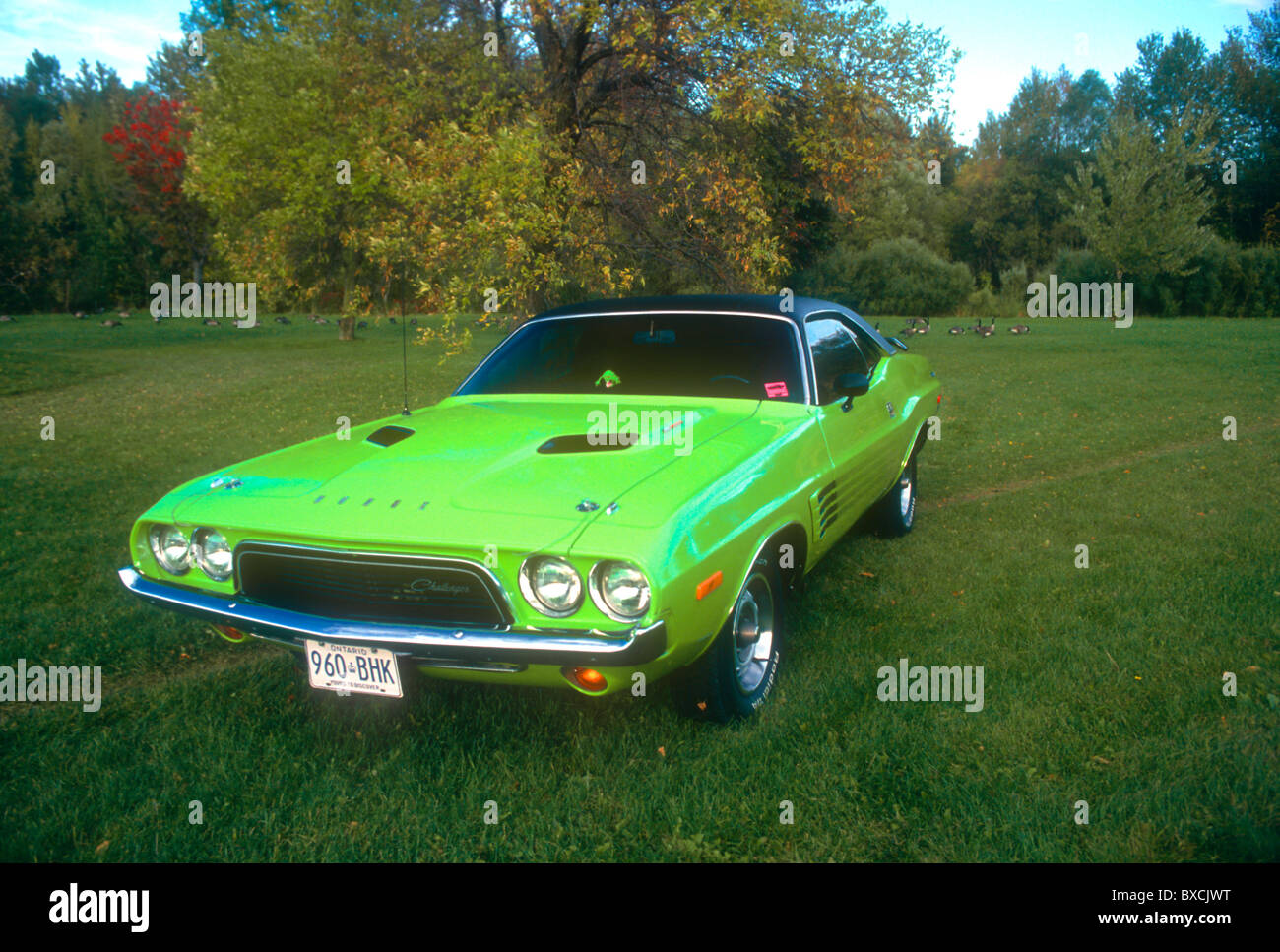 1974 Dodge Challenger Stock Photo