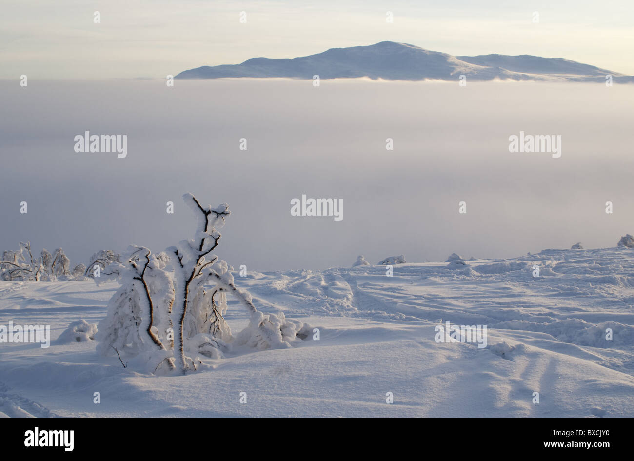 Fjeld hi-res stock photography and images - Page 5 - Alamy