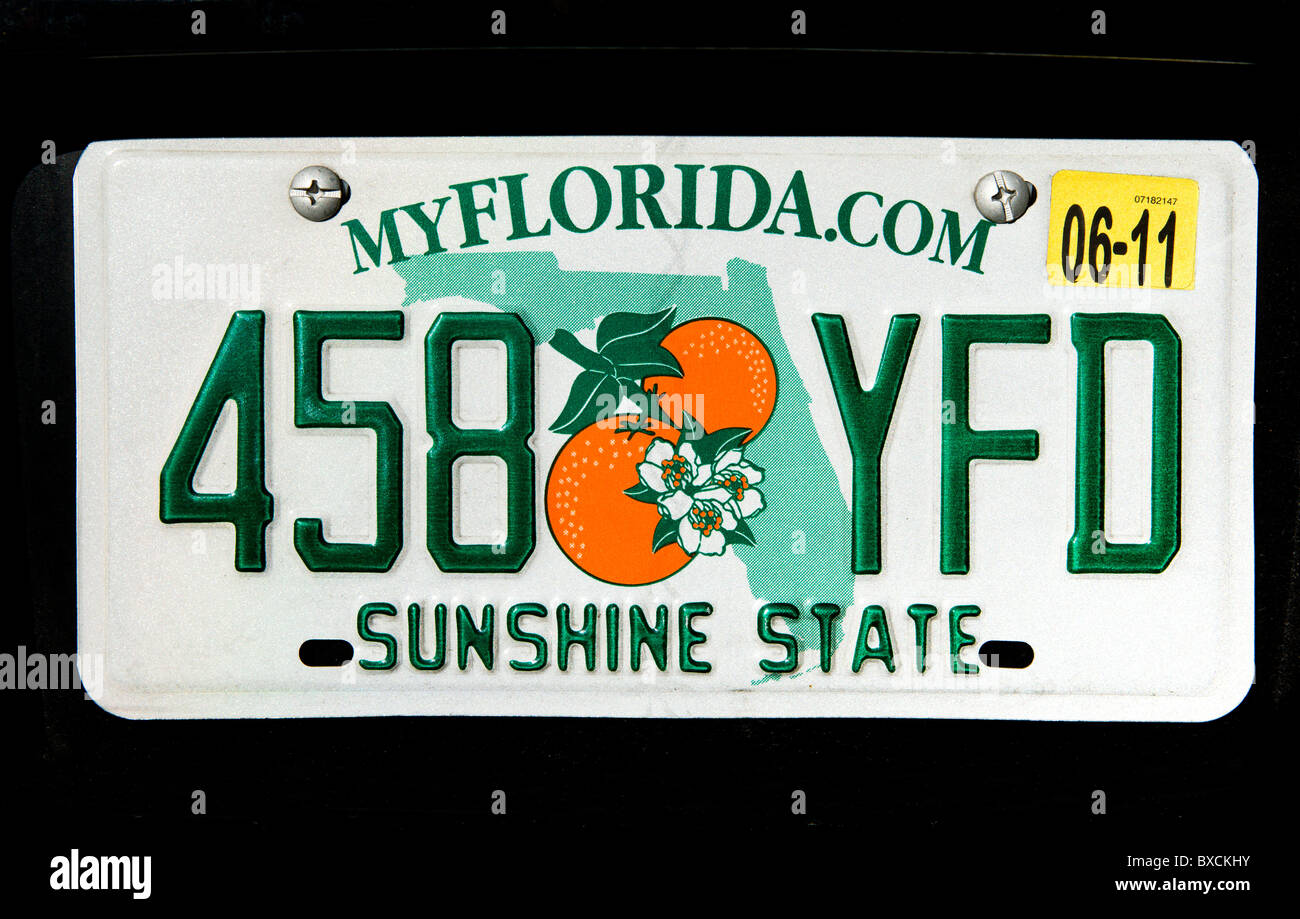 Florida Vehicle License Plate on a black car, USA Stock Photo