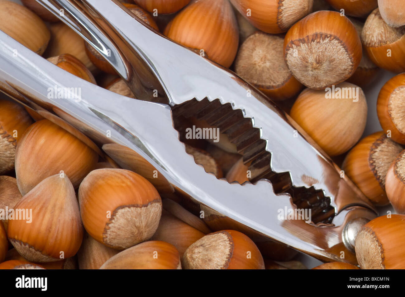 A ball with hazelnuts and a nut cracker Stock Photo