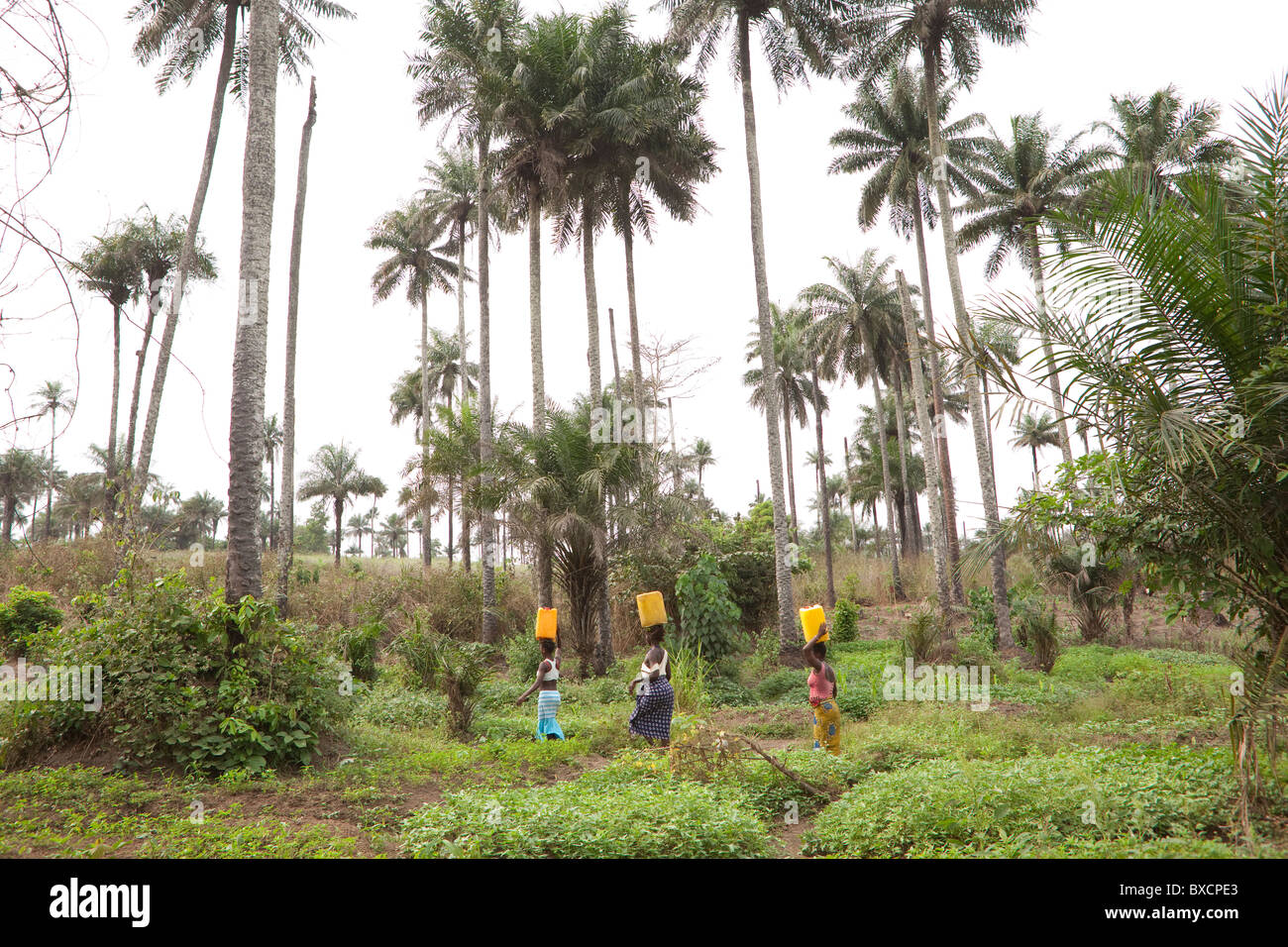 Women carry water back from the well in Masiaka, Sierra Leone, West Africa. Stock Photo