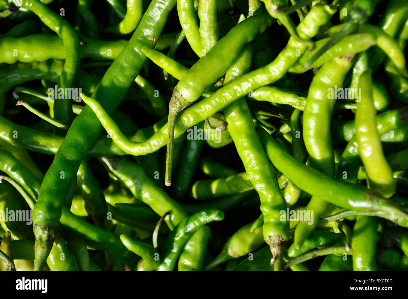Green chilies Stock Photo Alamy