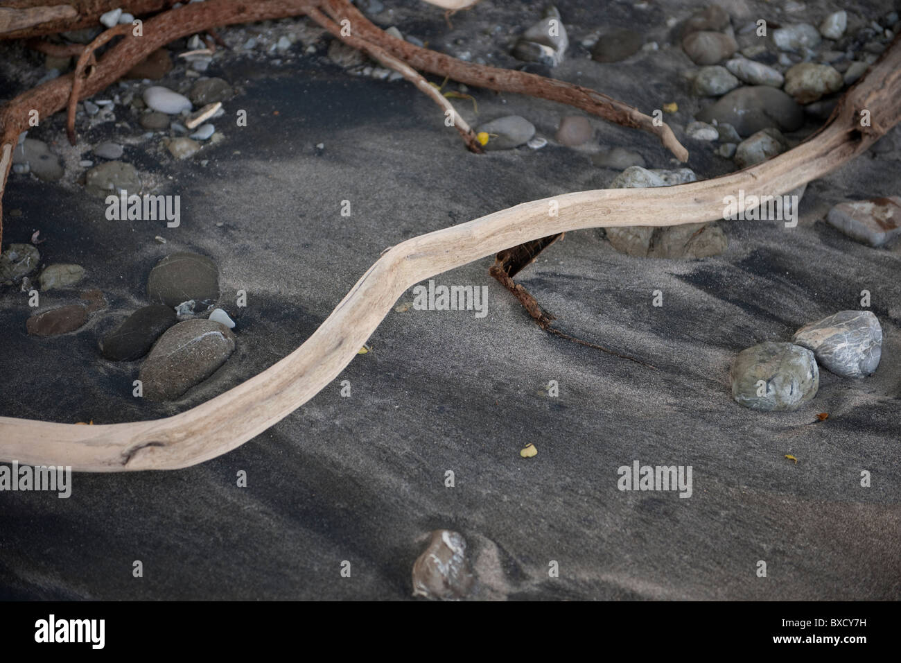 Driftwood on the beach Stock Photo Alamy